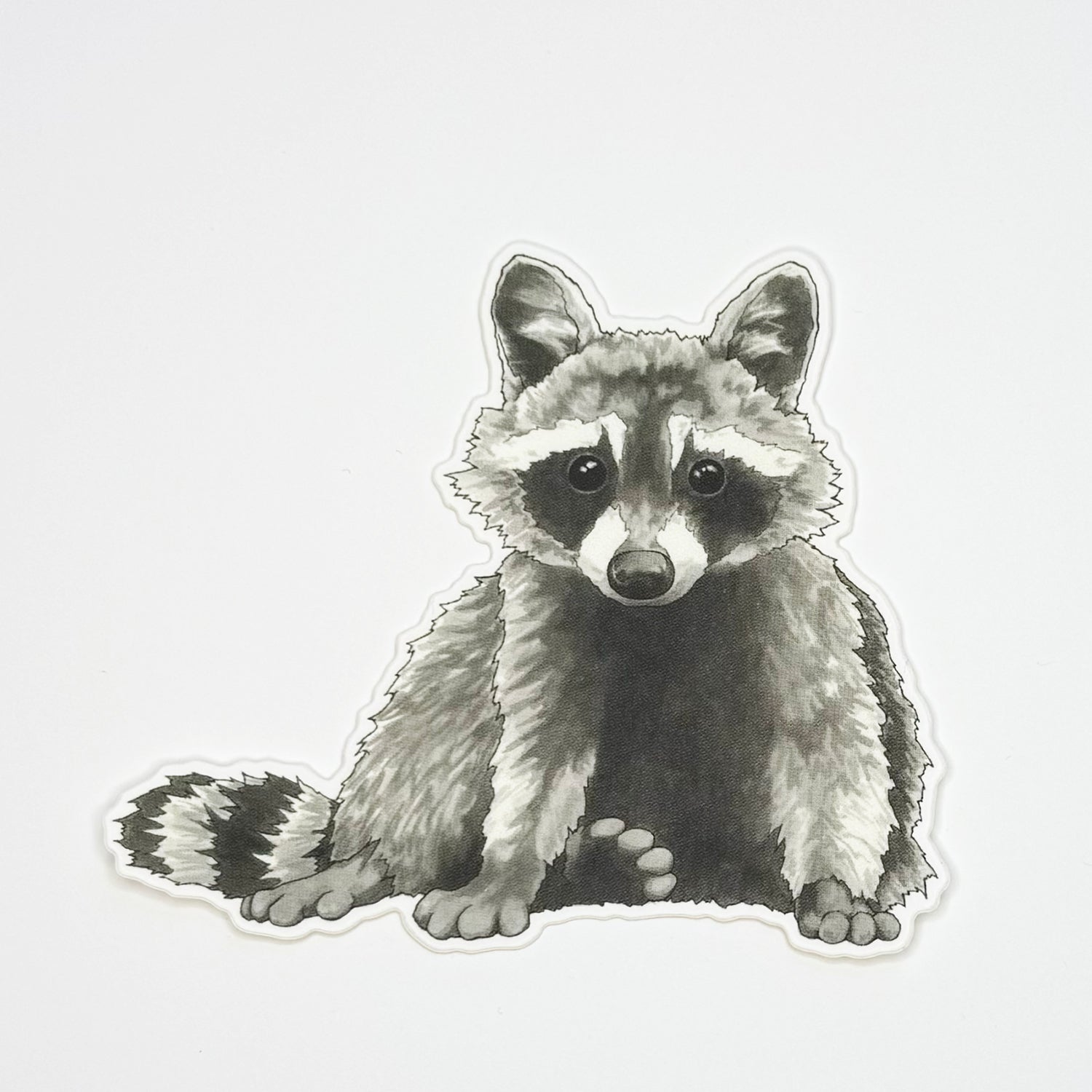 Raccoon Sticker