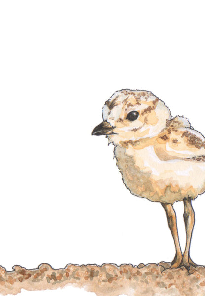Sandpiper Print