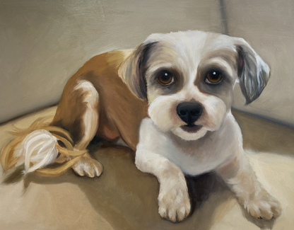 Commissioned Pet Portrait Oil Painting