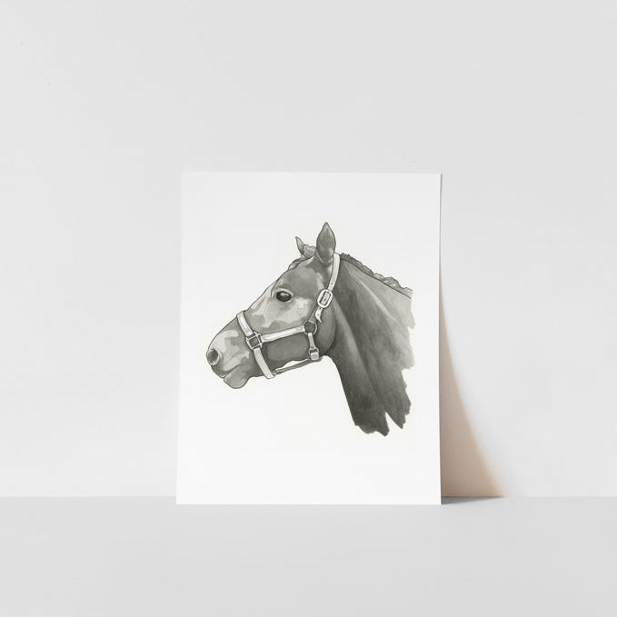 A art print of a horse&
