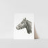 A art print of a horse&