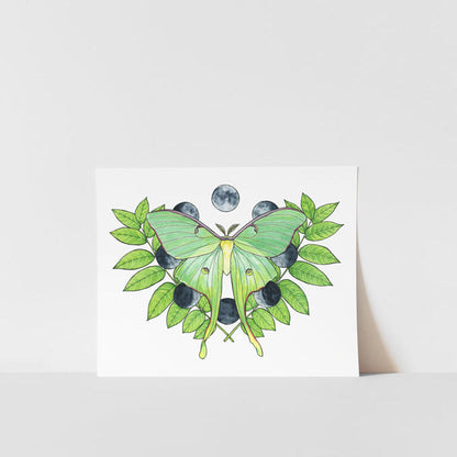 A printed artwork of a Luna Moth with green and blue colors on a white background, signed by Heather S Vitticore.