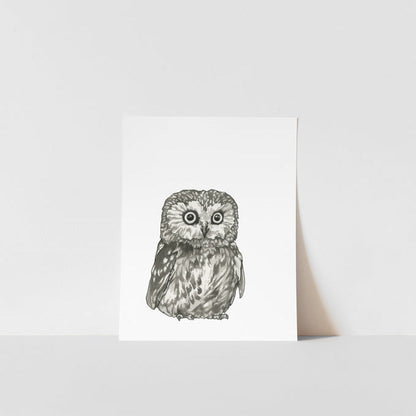 A black and white print of a saw-whet owl on a white background, with a visible artist&