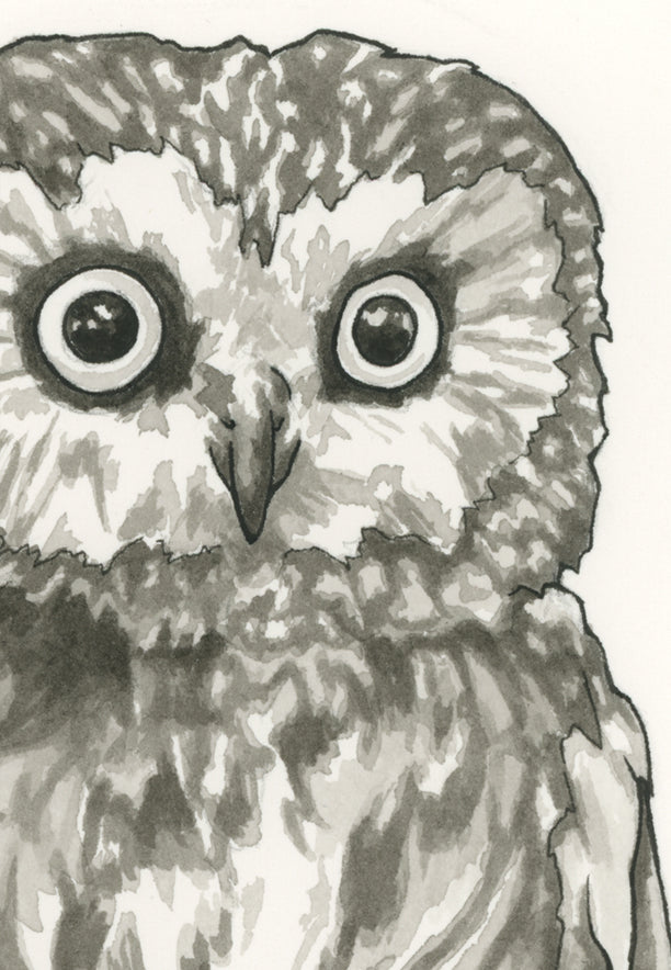 Owl Print