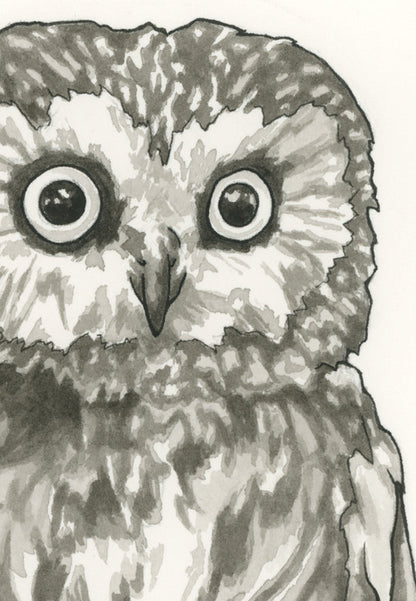 Owl Print