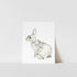 A black and white print of a rabbit on a white background, presented on a simple display shelf.