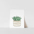 Art print featuring a succulent plant in a pot on a white background