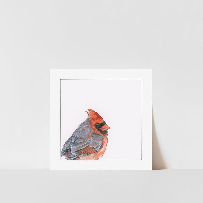 A square-shaped art print featuring a watercolor painting of a cardinal bird, with a white border and signed by Heather S Vitticore.