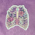Our dreamy and whimsical die cut skeletal remains sticker features a softly pastel shaded ribcage with vined pink roses winding around the bones.&nbsp;