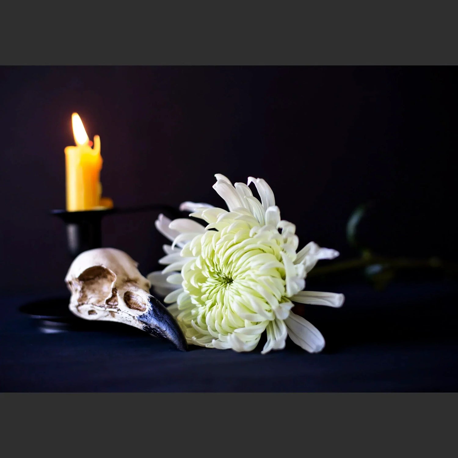 SkullsAndFlowers1-8521.jpg