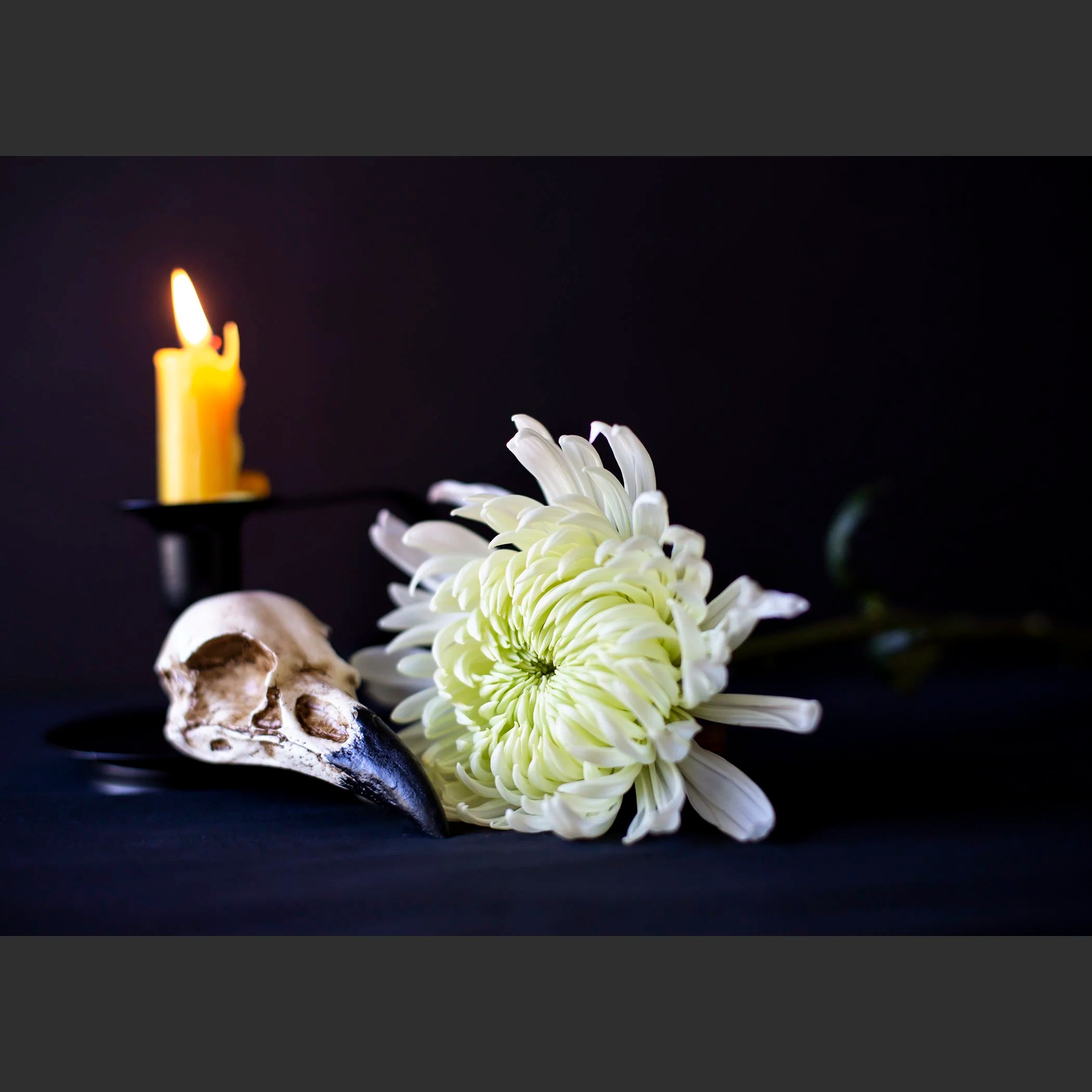 SkullsAndFlowers1-8521.jpg