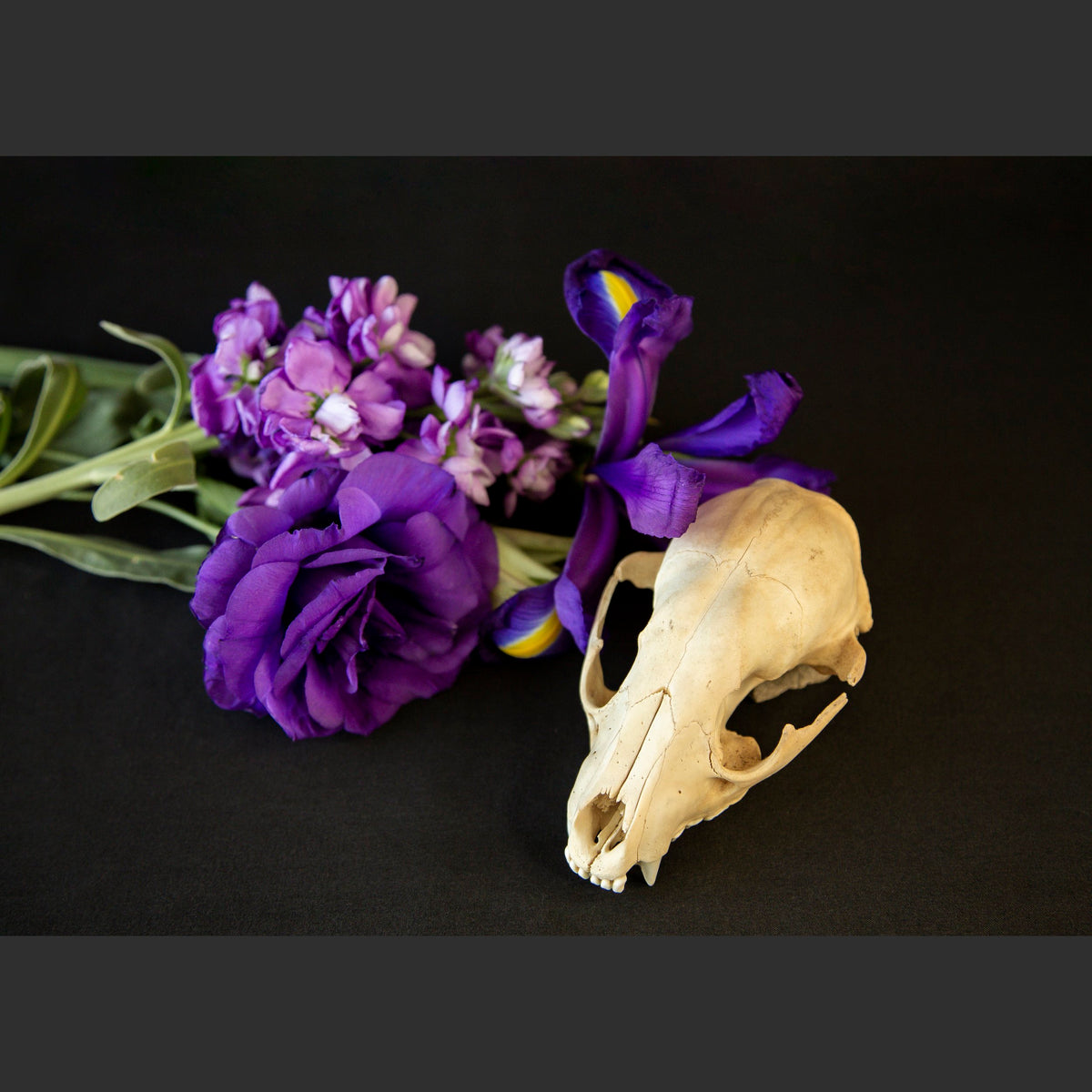 SkullsAndFlowers2-8592.jpg