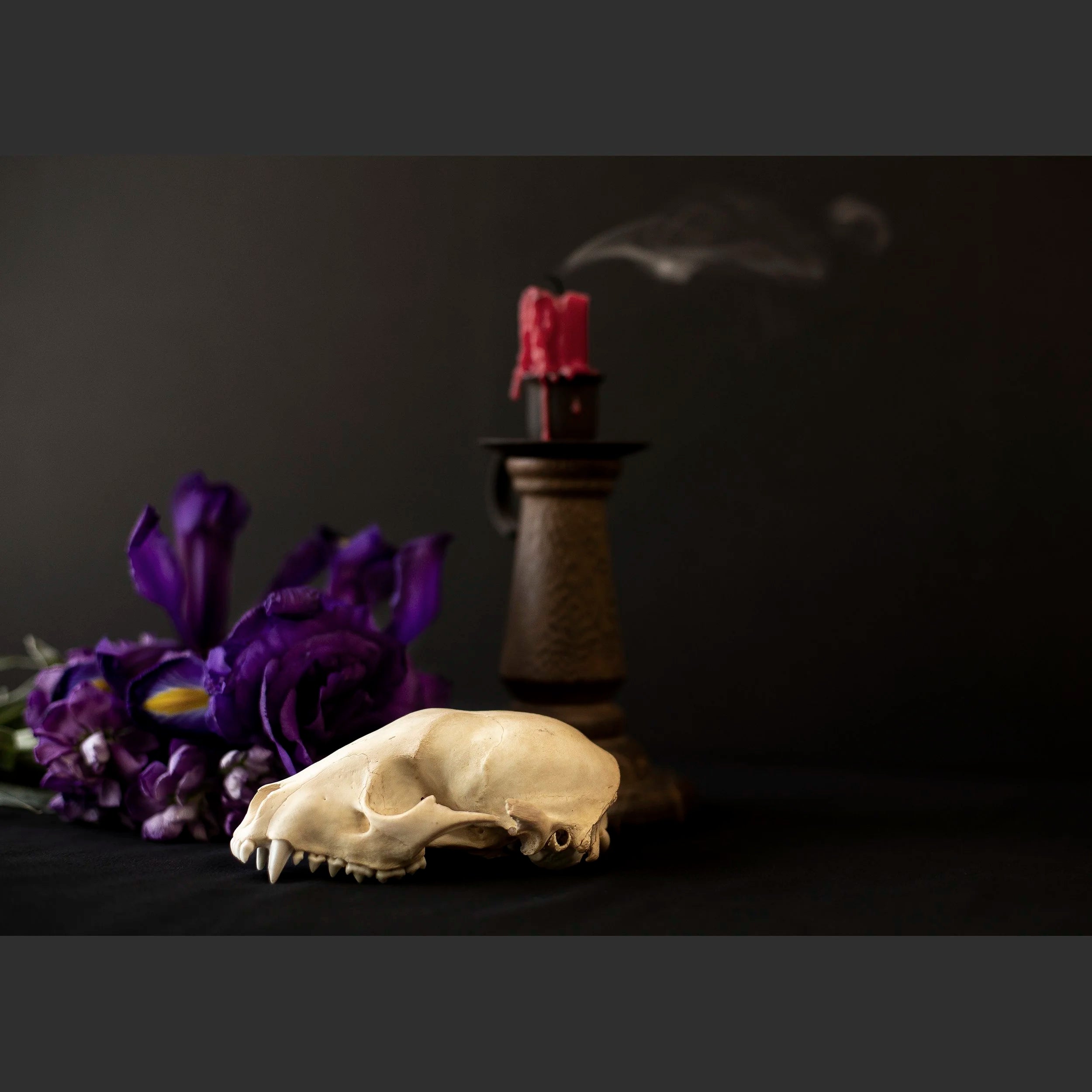 SkullsAndFlowers2-8663.jpg