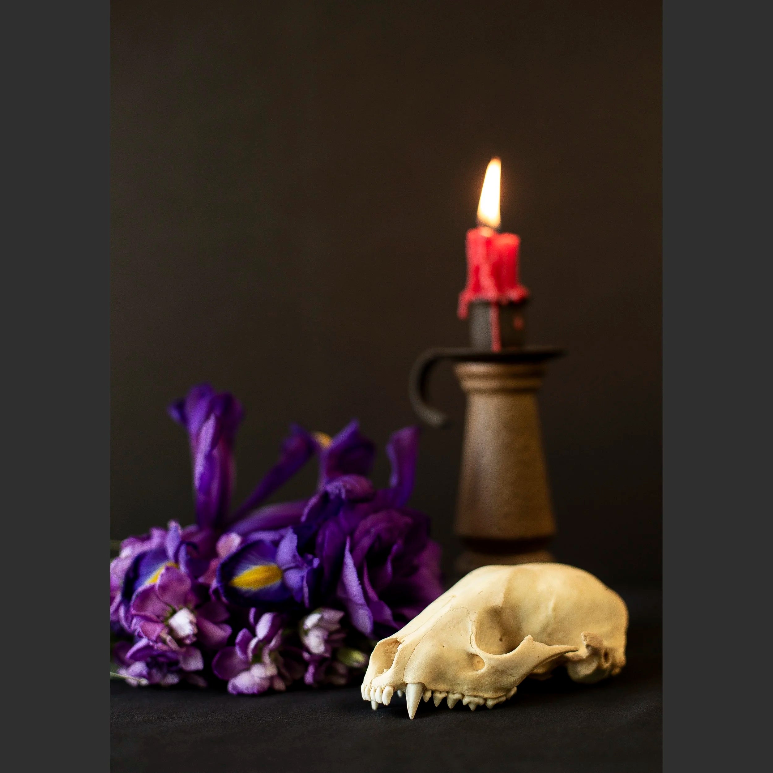 SkullsAndFlowers2-8672.jpg