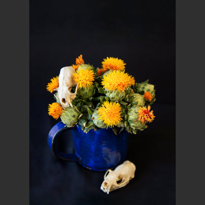 SkullsAndFlowers3-9942-2.jpg