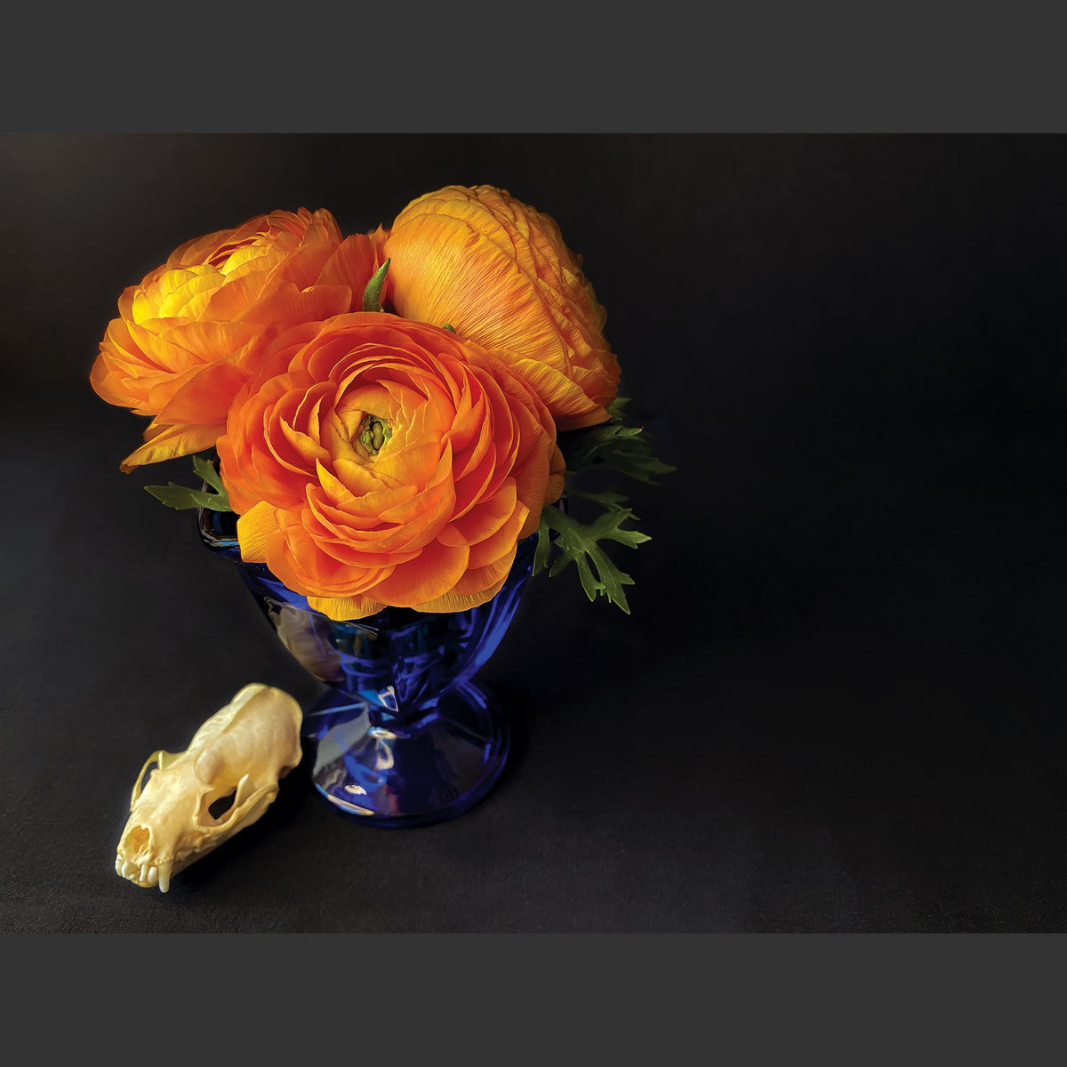 SkullsAndFlowers3.jpg
