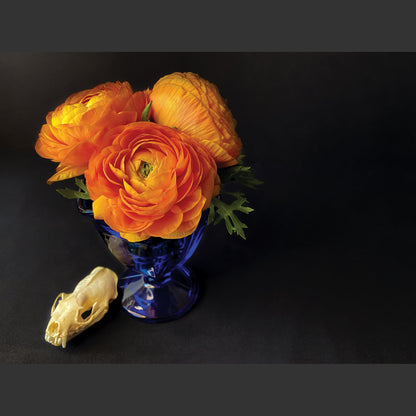 SkullsAndFlowers3.jpg
