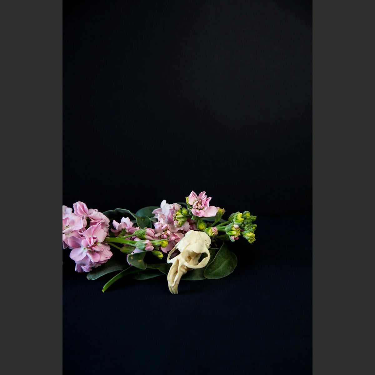 SkullsAndFlowers4-0143.jpg