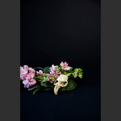 SkullsAndFlowers4-0143.jpg