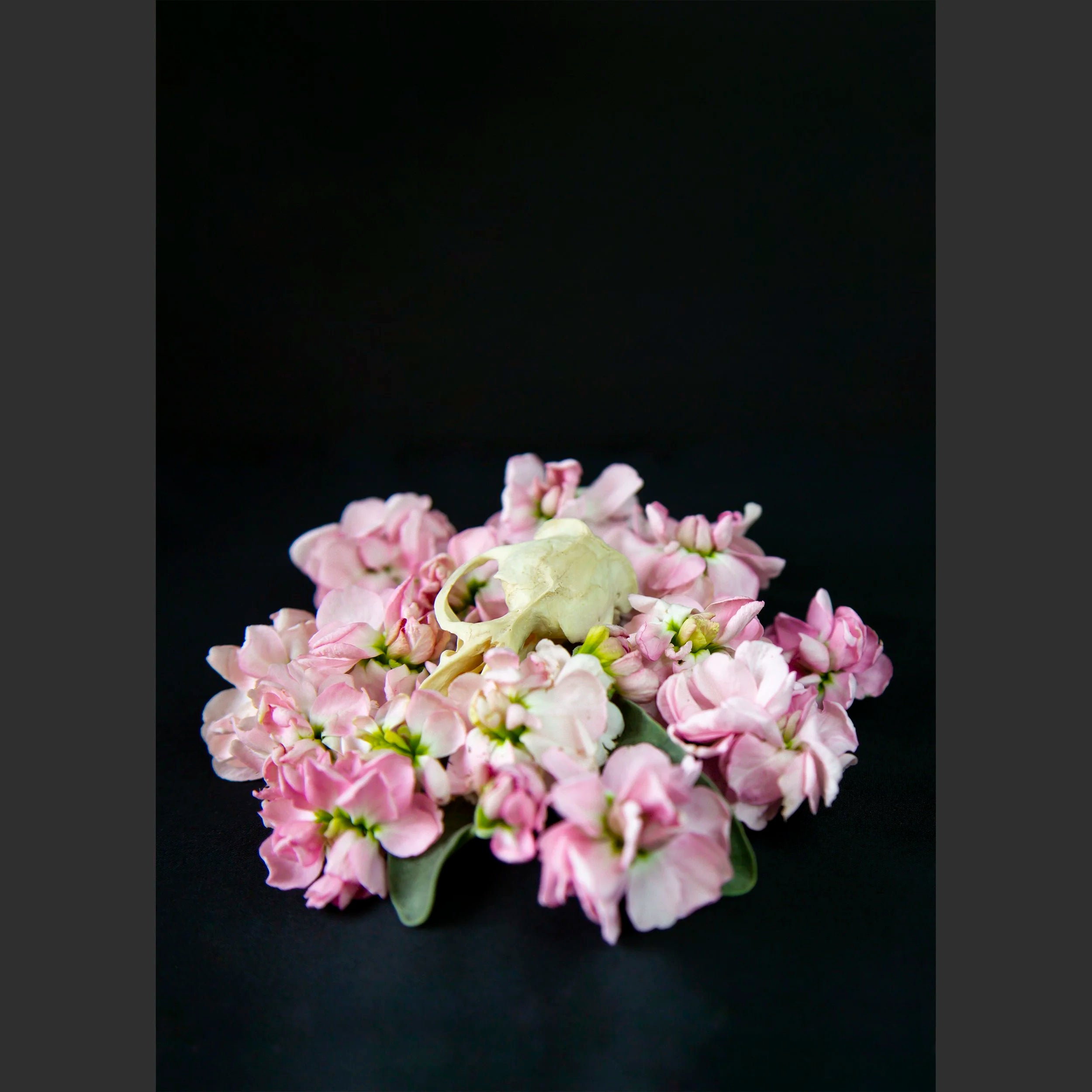 SkullsAndFlowers4-0231_Vert.jpg