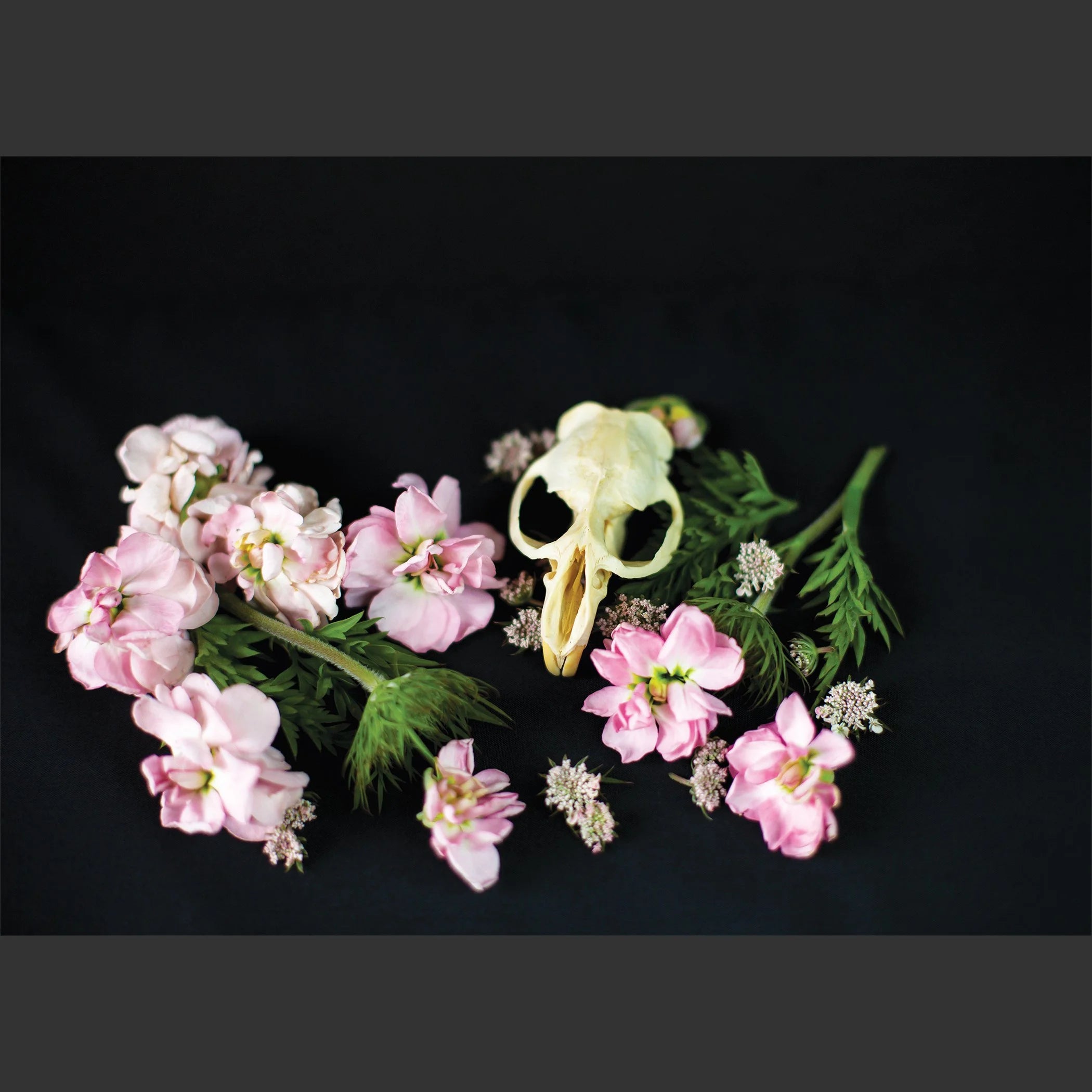 SkullsAndFlowers4-0359.jpg