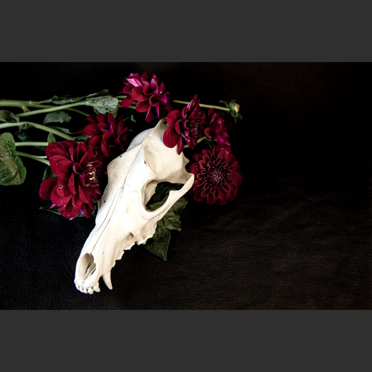 SkullsAndFlowers5-0478.jpg
