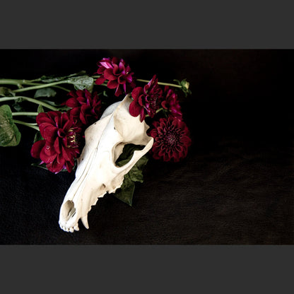 SkullsAndFlowers5-0478.jpg