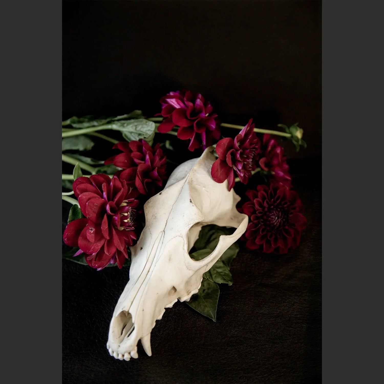 SkullsAndFlowers5-0480.jpg