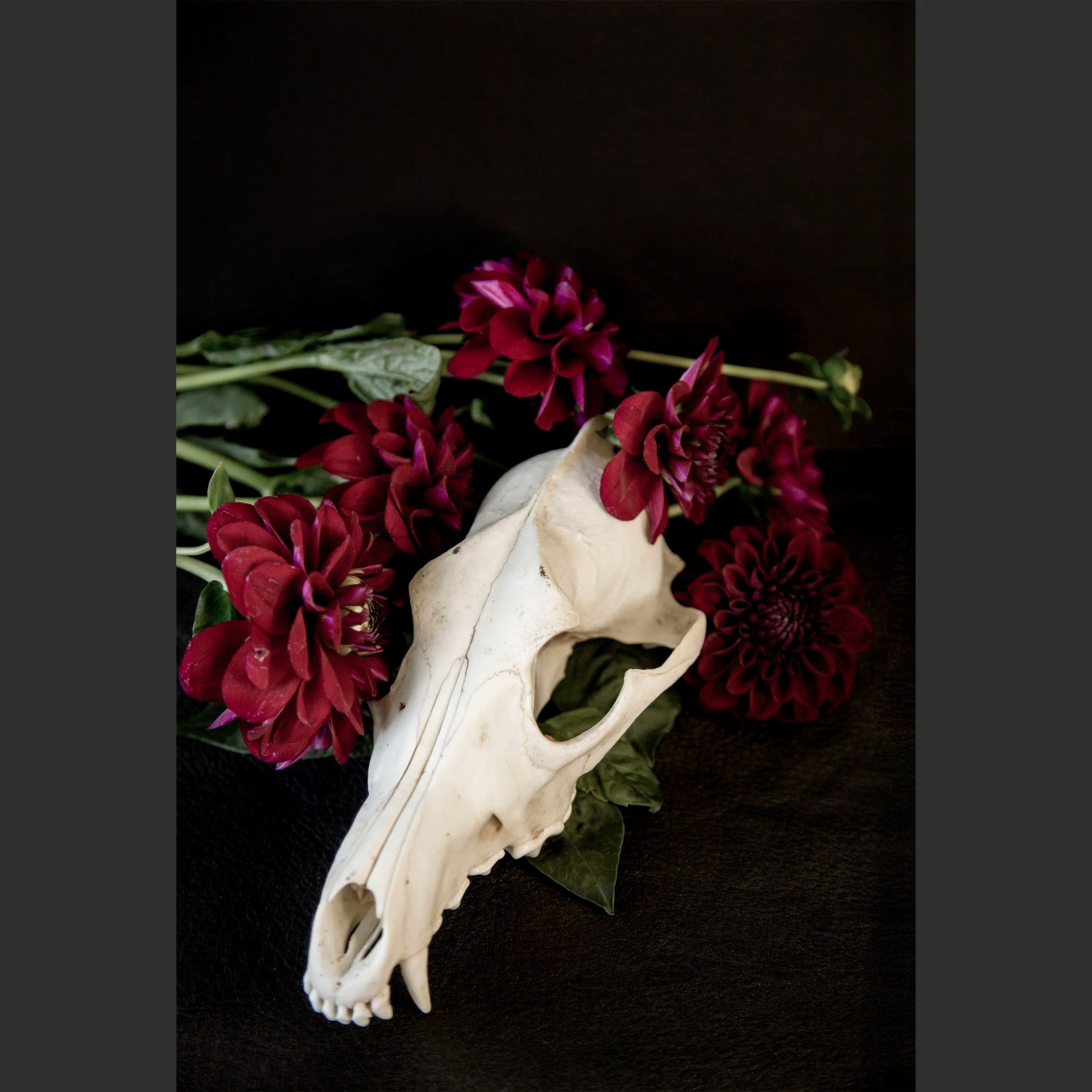 SkullsAndFlowers5-0480.jpg