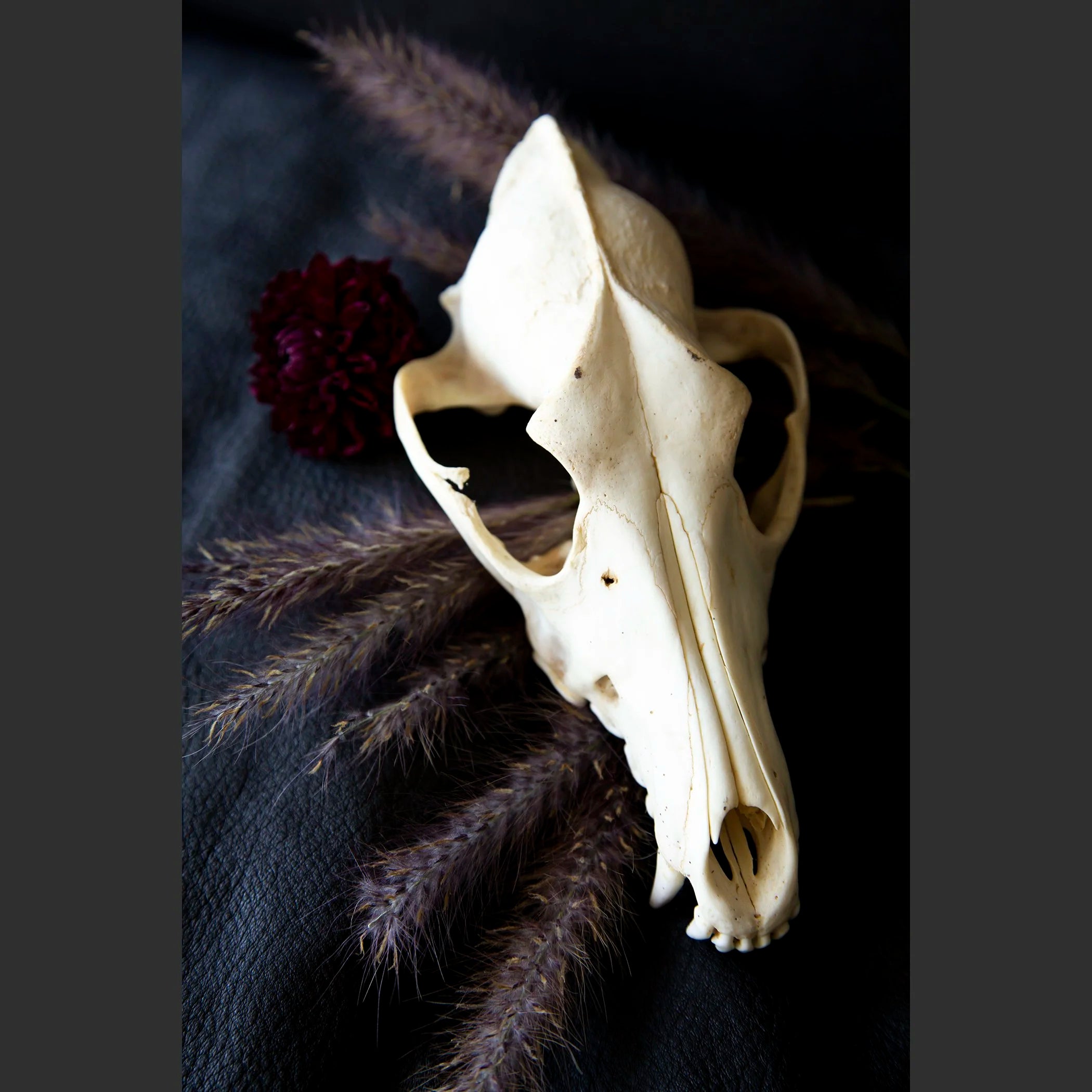 SkullsAndFlowers5-0924.jpg