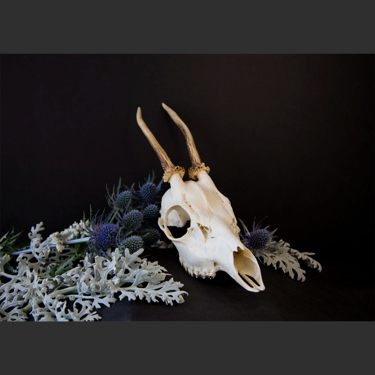 SkullsAndFlowers6-0651.jpg