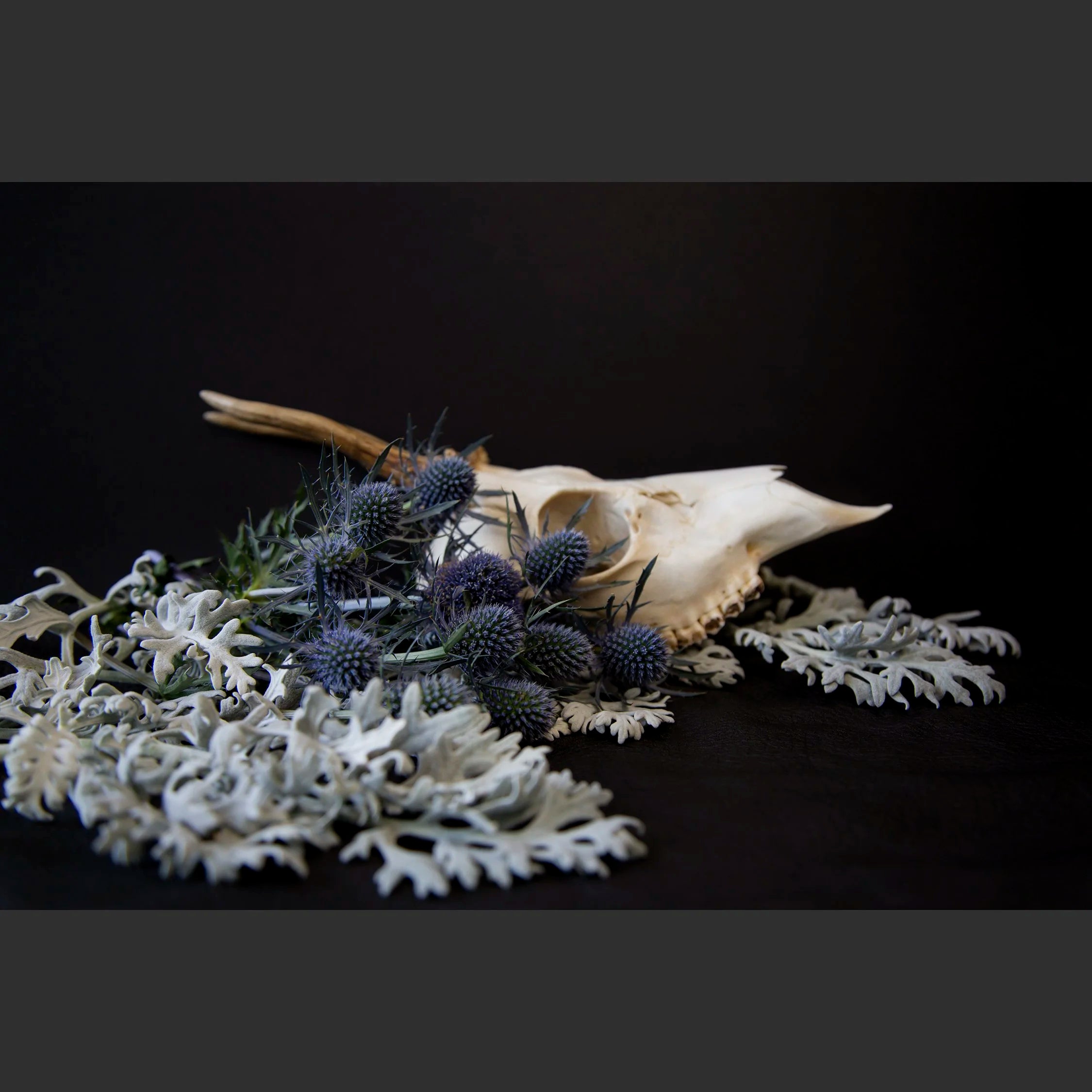SkullsAndFlowers6-0700.jpg