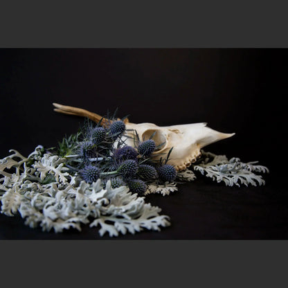 SkullsAndFlowers6-0700.jpg
