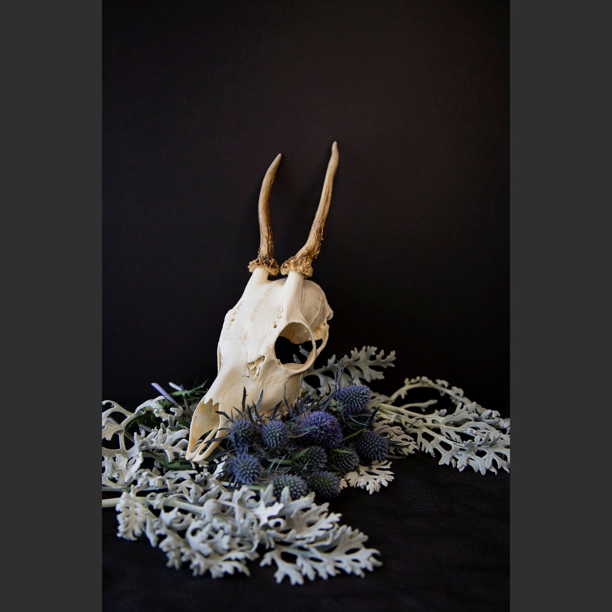 SkullsAndFlowers6-0729.jpg