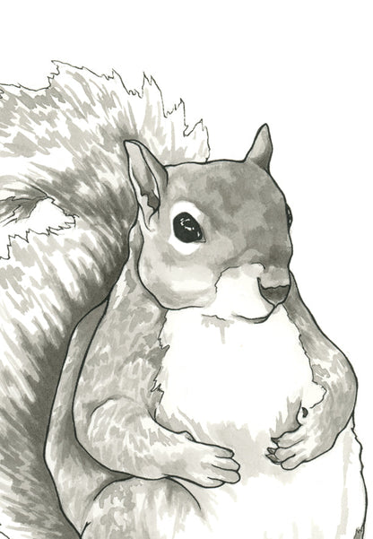 Earl the Squirrel Print
