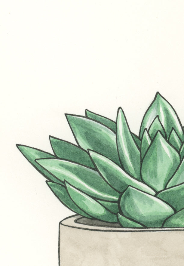 Succulent Print