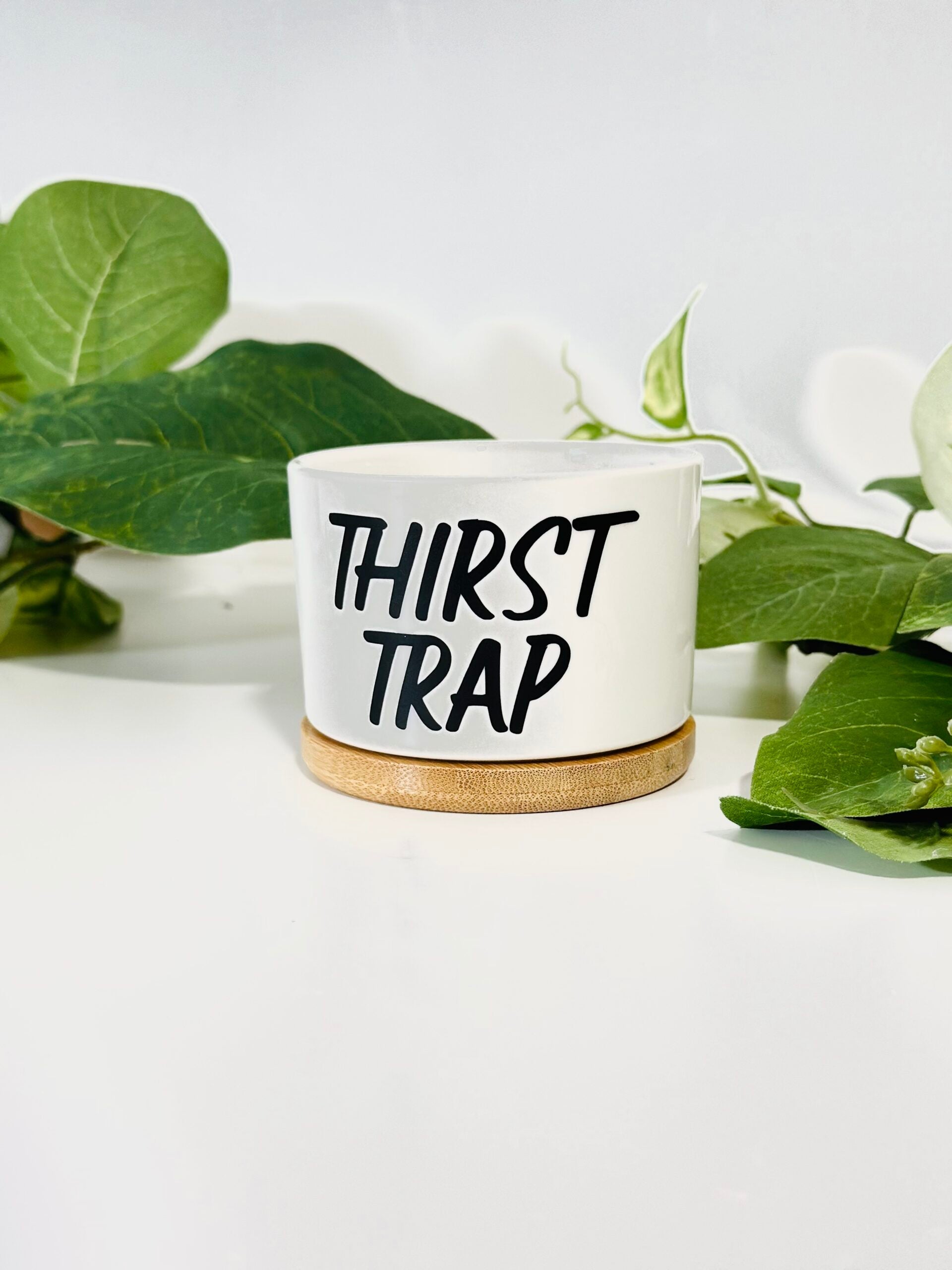 Funny, Cute and Sarcastic Mini Planters, Indoor Succulent Planters
