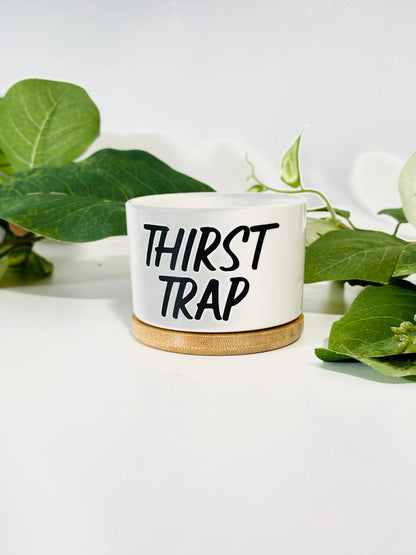 Funny, Cute and Sarcastic Mini Planters, Indoor Succulent Planters