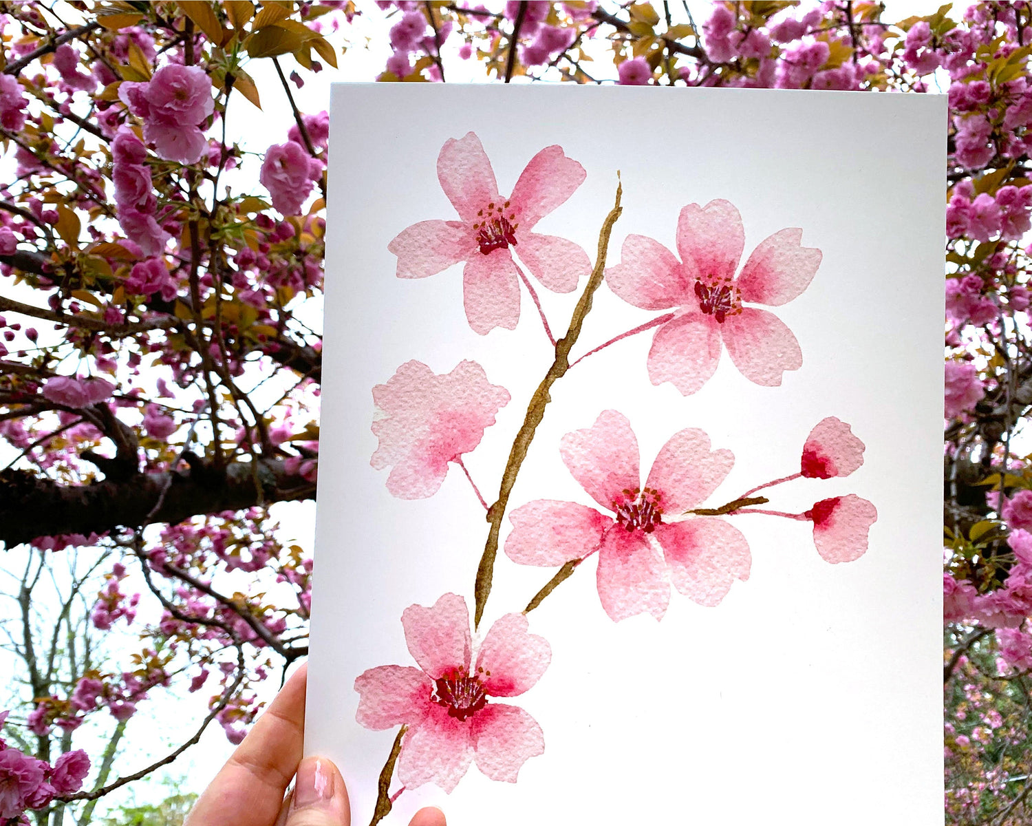 Watercolor Cherry Blossom Branch Art Print