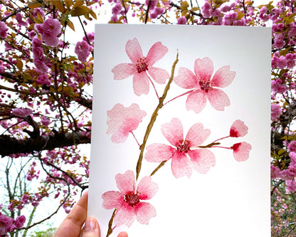 Watercolor Cherry Blossom Branch Art Print