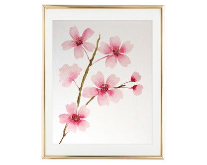 Watercolor Cherry Blossom Branch Art Print