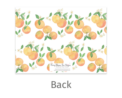 Watercolor Clementine Flat Notecard Stationery Set