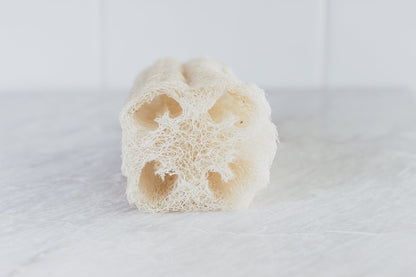 A Drop in the Ocean Sustainable Living Zero Waste Plastic Free Shop Natural Loofah Sponges (Set of 6) Reusable Goods 