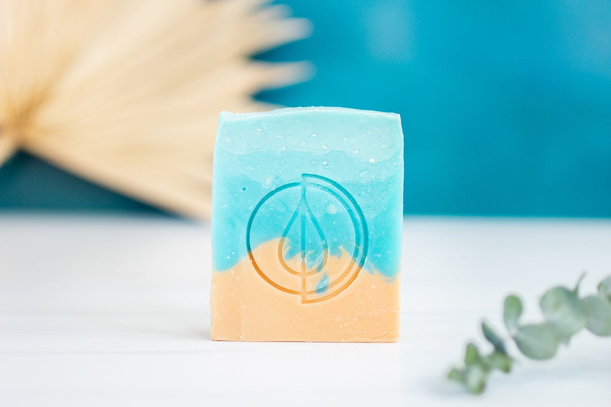 A Drop in the Ocean Zero Waste Store Baja Whale Shark Soap Bar Front