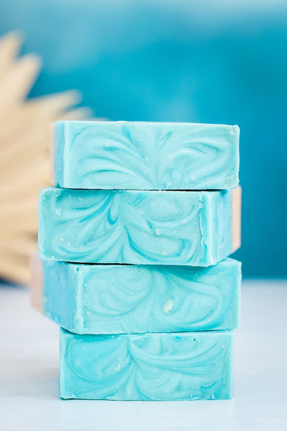 A Drop in the Ocean Zero Waste Store Baja Whale Shark Soap Bar Top