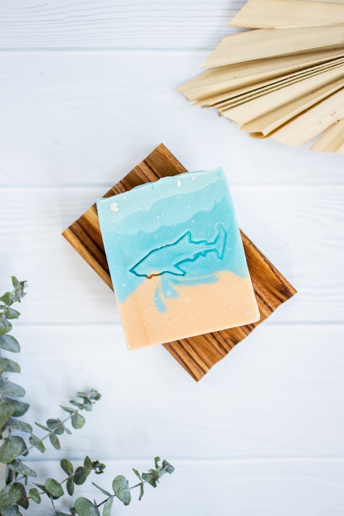 A Drop in the Ocean Zero Waste Store Baja Whale Shark Soap Bar on Soap Dish