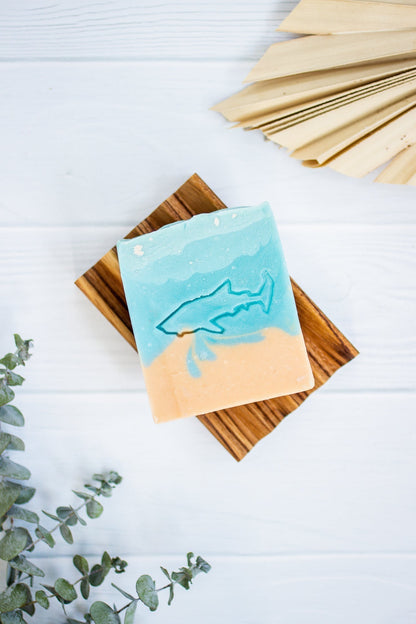 A Drop in the Ocean Zero Waste Store Baja Whale Shark Soap Bar on Soap Dish