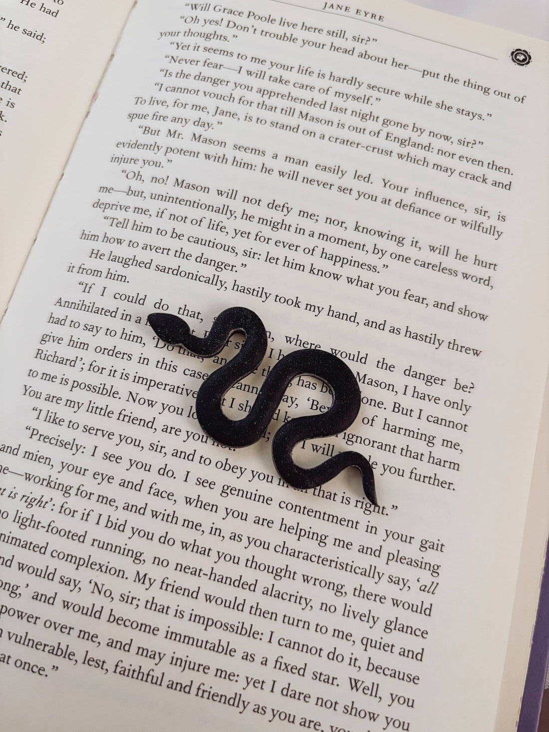 Black snake on an open book