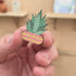 Agave succulent cherry wood magnet with pink and yellow zigzag pot, UV printed