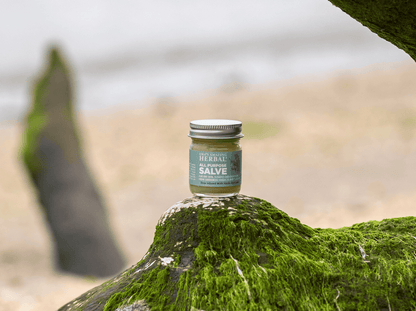 All Purpose Salve, Herbal Salve with Comfrey &amp; Tea Tree Oil